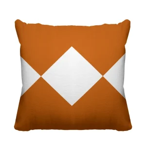 2 Color Decorative Cushion Cover