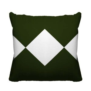 2 Color Decorative Cushion Cover