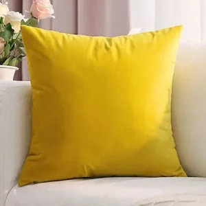 2 Color Decorative Cushion Cover